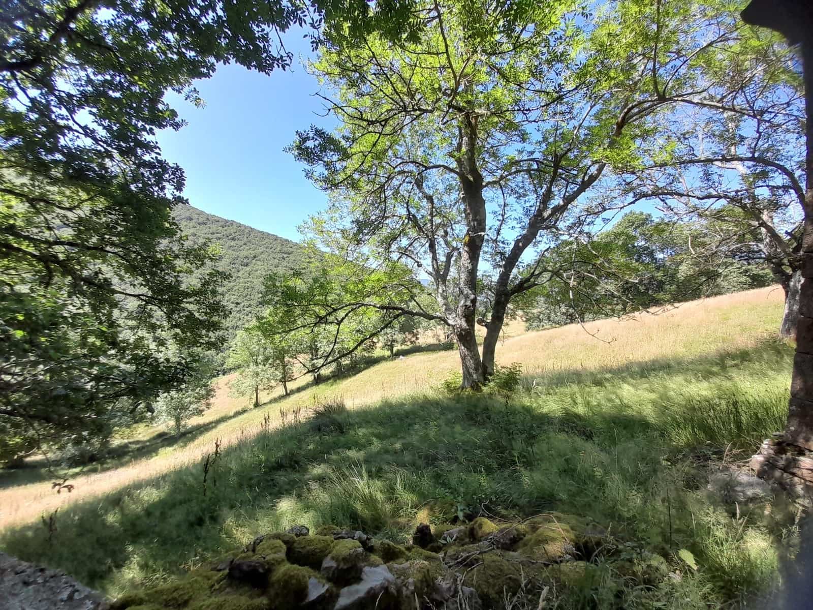 Hus til salgs i Burgos by - € 65 000 (Ref: 9988539)
