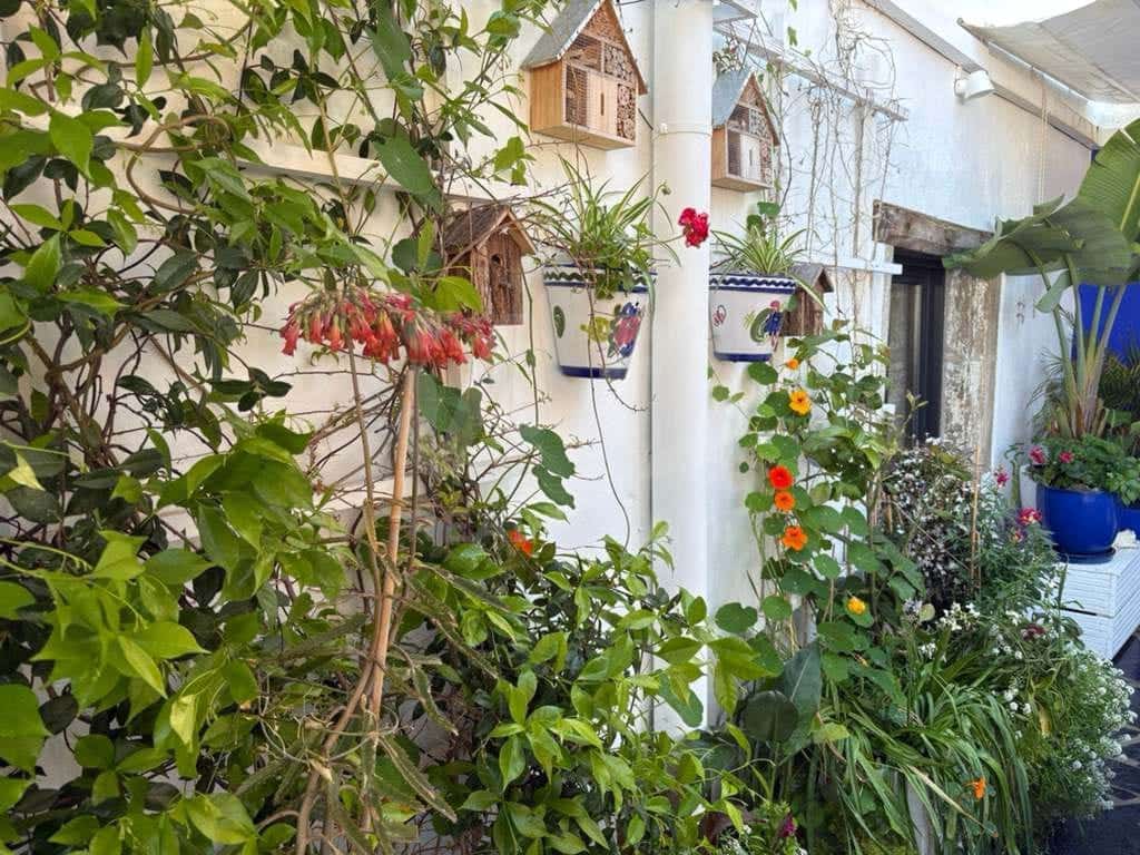 Apartamento de 2 habitaciones en Sitges en venta - 725.000 € (Ref: 9988550)