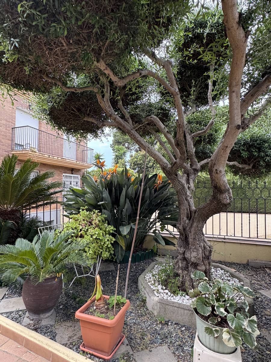 3 soverom Hus til salgs i Barcelona by med garasje - € 695 000 (Ref: 9988551)