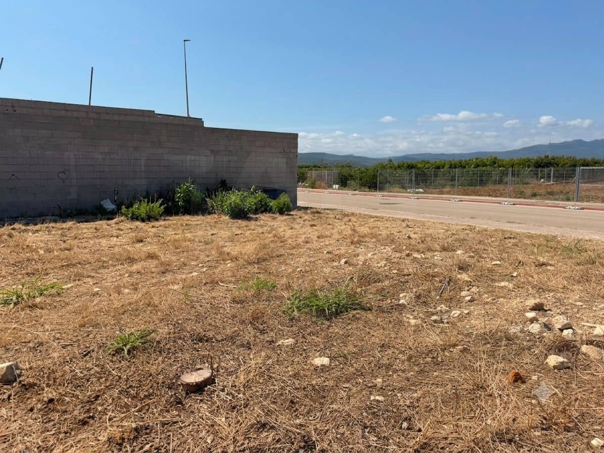 Ubebygd land til salgs i Valencia by - € 130 000 (Ref: 9988558)