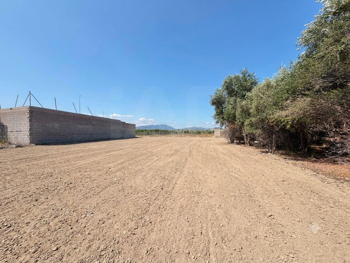 Ubebygd land til salgs i Valencia by - € 130 000 (Ref: 9988558)