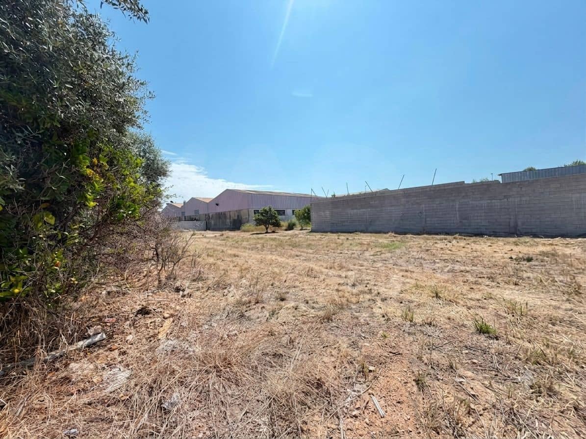 Ubebygd land til salgs i Valencia by - € 130 000 (Ref: 9988558)