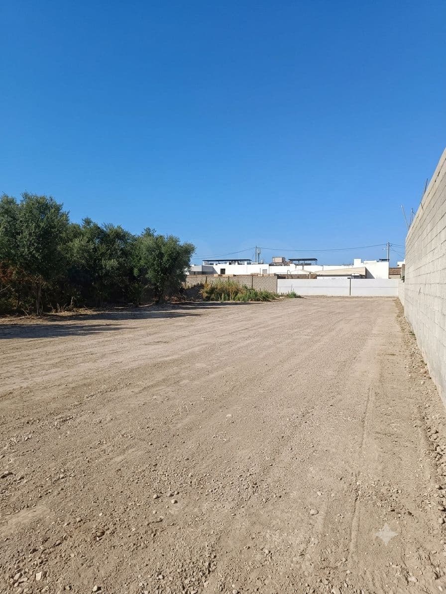 Ubebygd land til salgs i Valencia by - € 130 000 (Ref: 9988558)