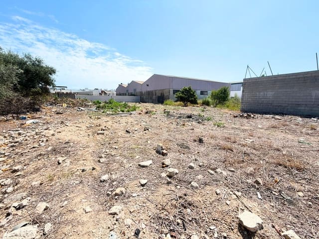 Ubebygd land til salgs i Valencia by - € 130 000 (Ref: 9988558)