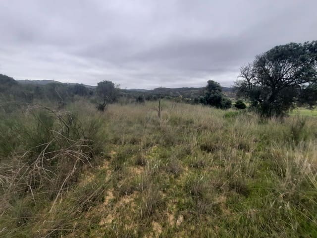 Terreno Non Edificato in vendita in Tarragona città - 6.900 € (Rif: 9988559)
