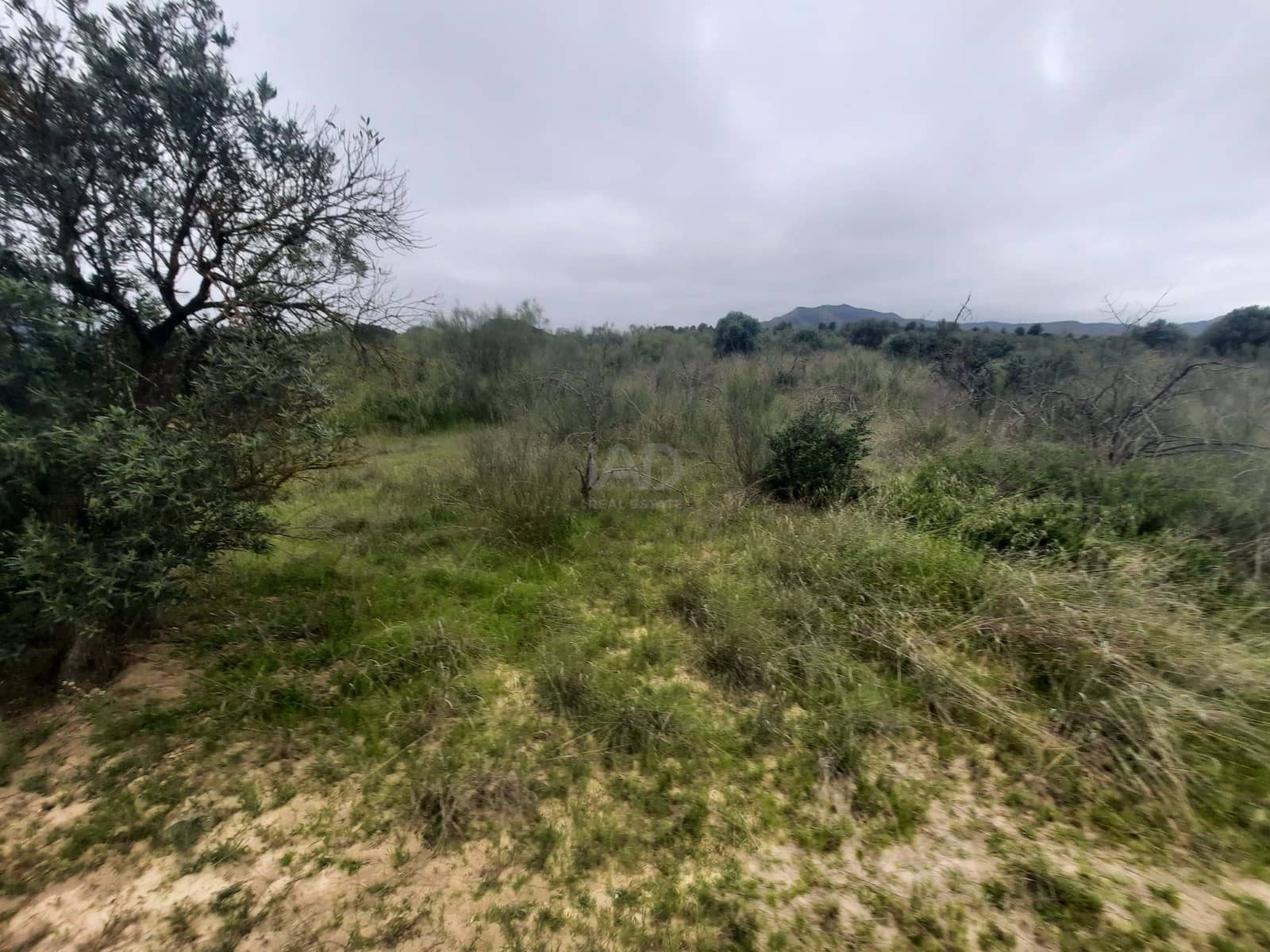 Ubebygd land til salgs i Tarragona by - € 6 900 (Ref: 9988559)