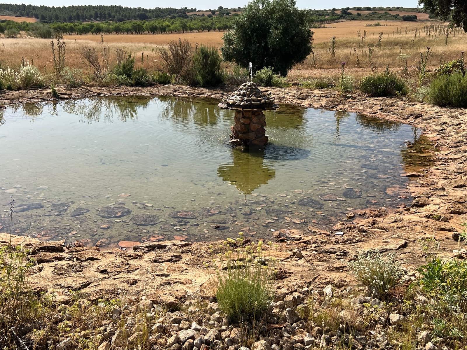 Grond te koop in Albacete stad - € 3.800.000 (Ref: 9988571)