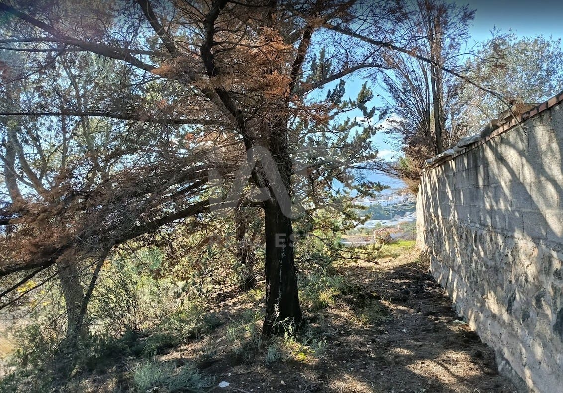 Solar/Parcela en Alcoy / Alcoi en venta - 230.000 € (Ref: 9988577)