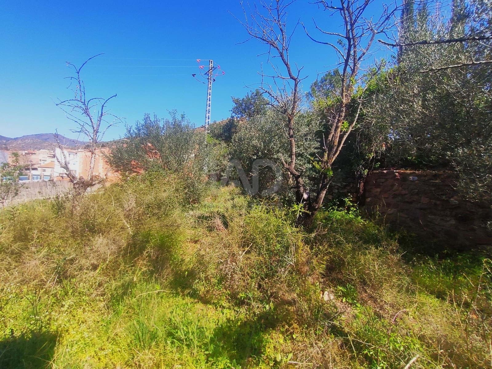 Działka budowlana na sprzedaż w Azuebar - 43 000 € (Ref: 9988592)