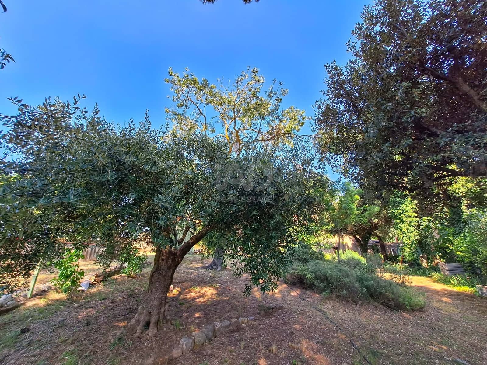 3 slaapkamer Huis te koop in Gerona stad met garage - € 505.000 (Ref: 9988599)