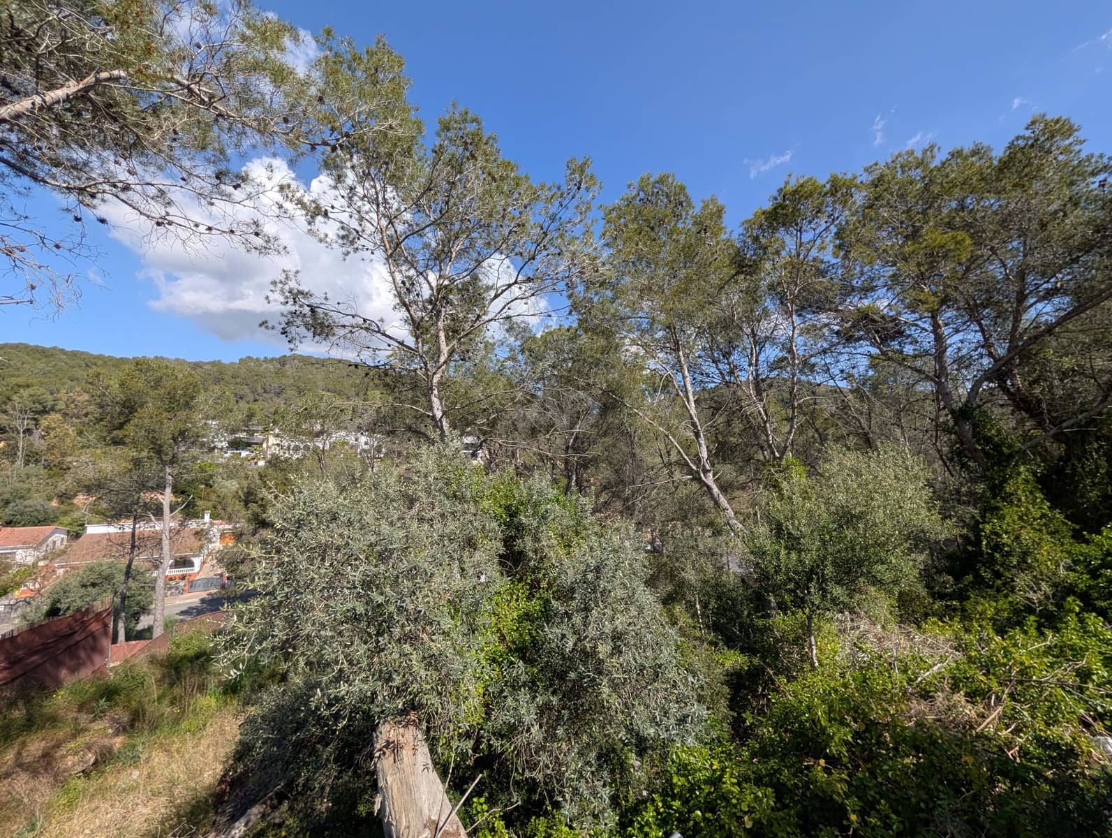 Terrain à Bâtir à vendre à Barcelone ville - 137 000 € (Ref: 9988603)