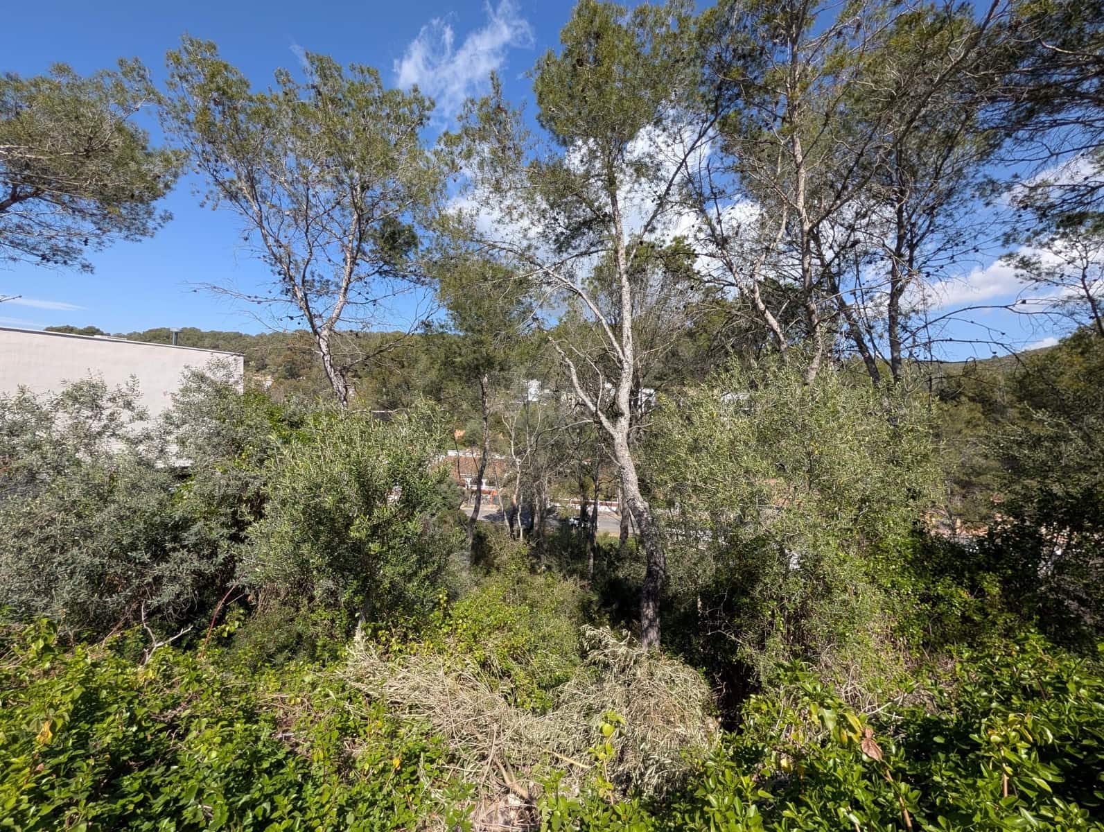 Terrain à Bâtir à vendre à Barcelone ville - 137 000 € (Ref: 9988603)