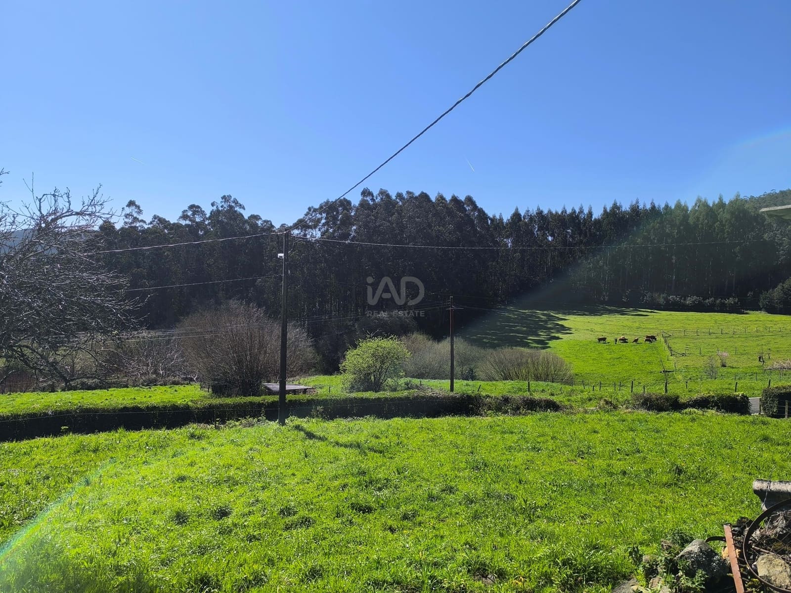 Adosado en Cedeira en venta - 45.000 € (Ref: 9988605)