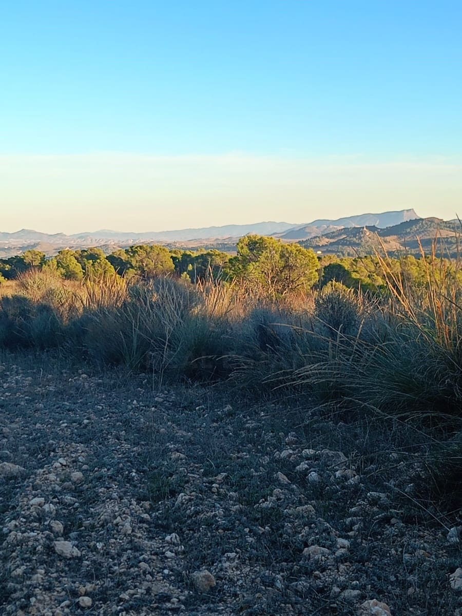 Grond te koop in Lorca - € 63.000 (Ref: 9988611)