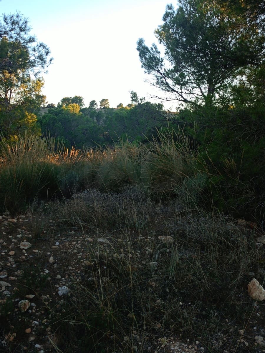 Grond te koop in Lorca - € 63.000 (Ref: 9988611)