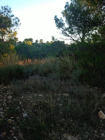 Grond te koop in Lorca - € 63.000 (Ref: 9988611)