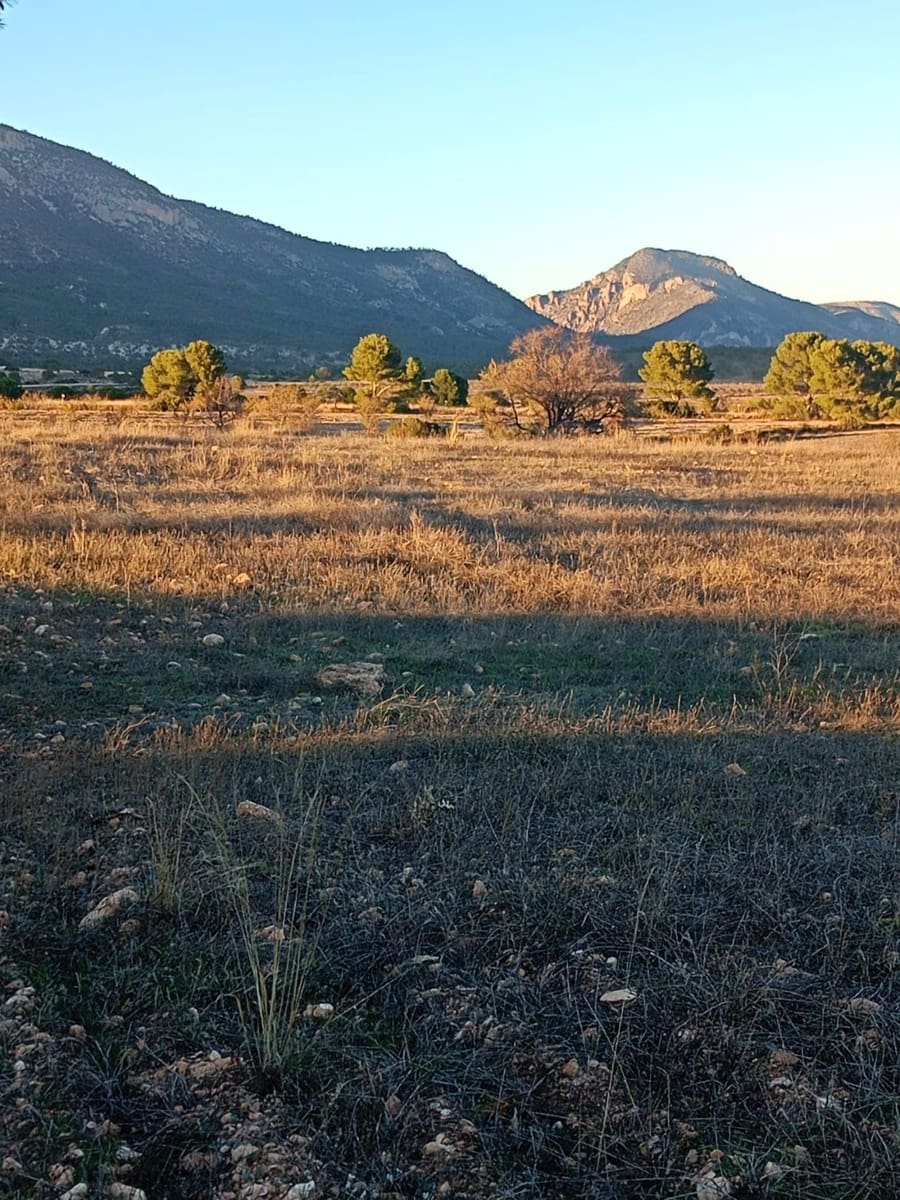Grond te koop in Lorca - € 63.000 (Ref: 9988611)
