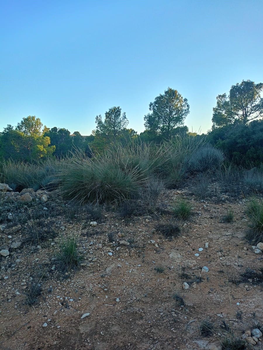 Grond te koop in Lorca - € 63.000 (Ref: 9988611)