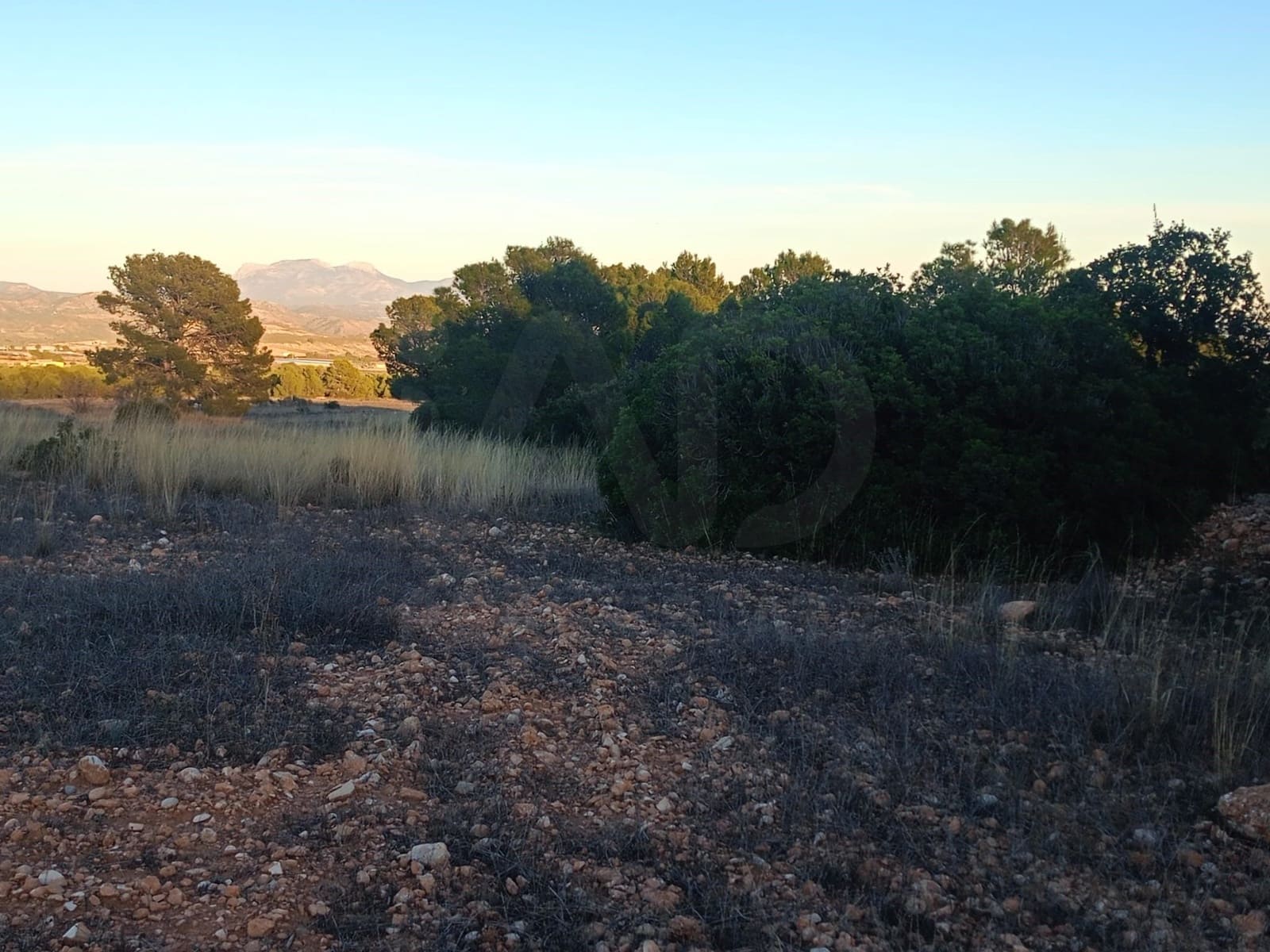 Grond te koop in Lorca - € 63.000 (Ref: 9988611)
