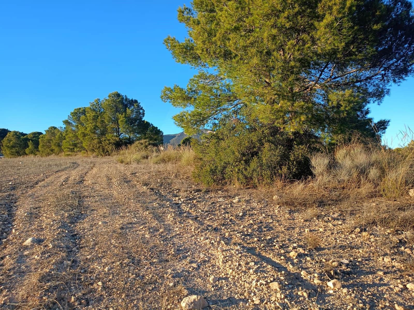 Grond te koop in Lorca - € 63.000 (Ref: 9988611)