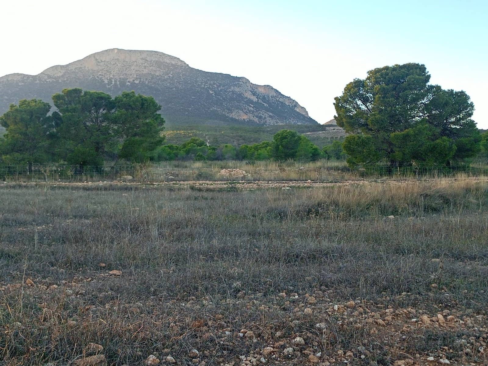 Grond te koop in Lorca - € 63.000 (Ref: 9988611)