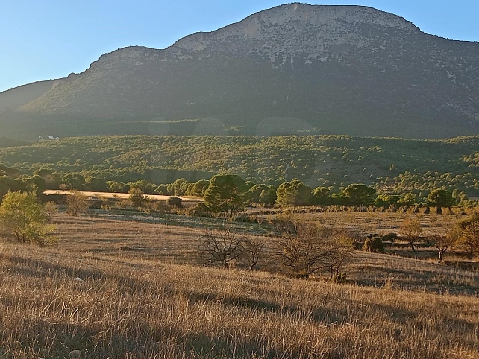 Grond te koop in Lorca - € 63.000 (Ref: 9988611)