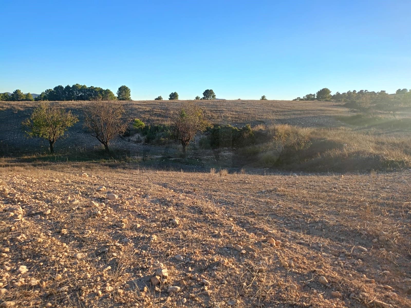 Grond te koop in Lorca - € 63.000 (Ref: 9988611)