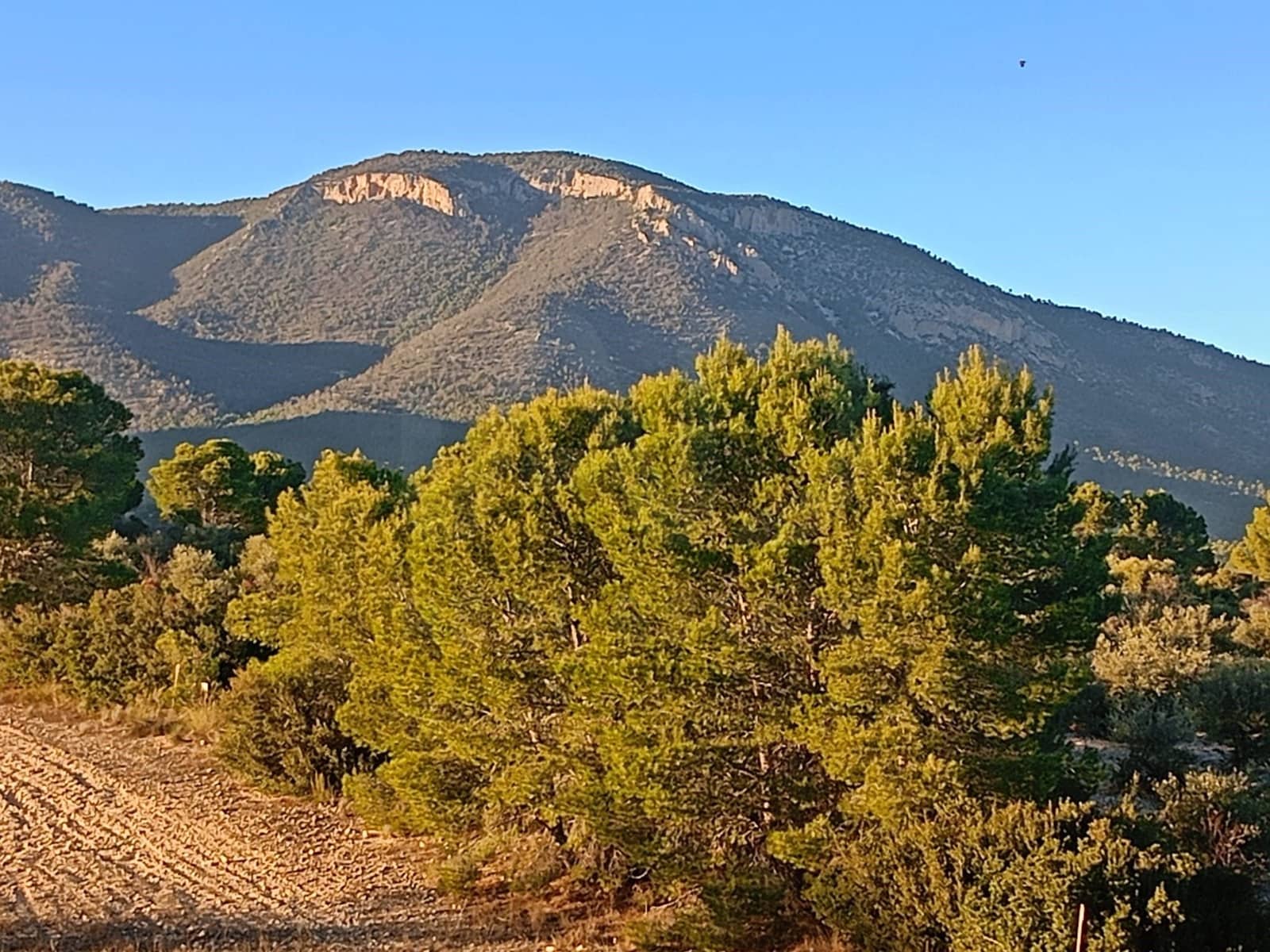 Grond te koop in Lorca - € 63.000 (Ref: 9988611)
