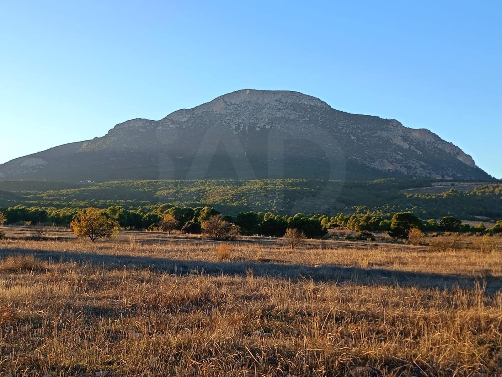 Grond te koop in Lorca - € 63.000 (Ref: 9988611)