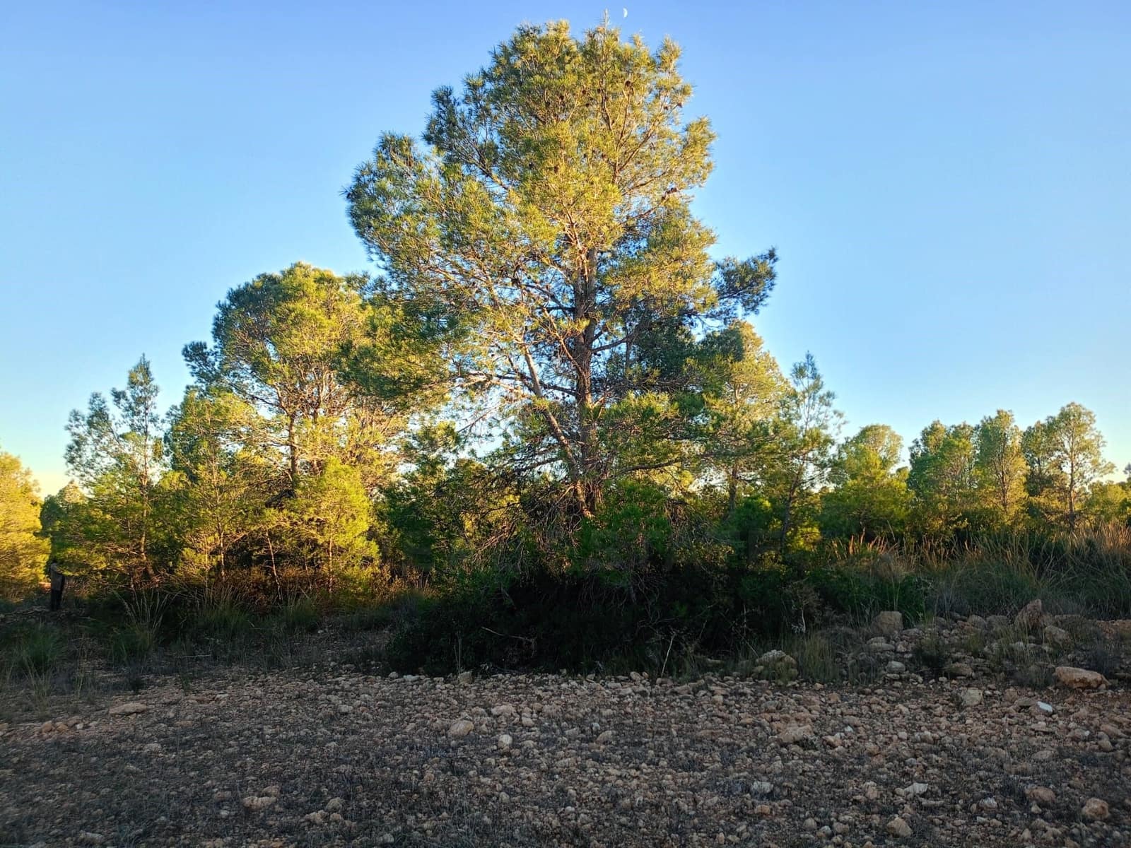 Grond te koop in Lorca - € 63.000 (Ref: 9988611)