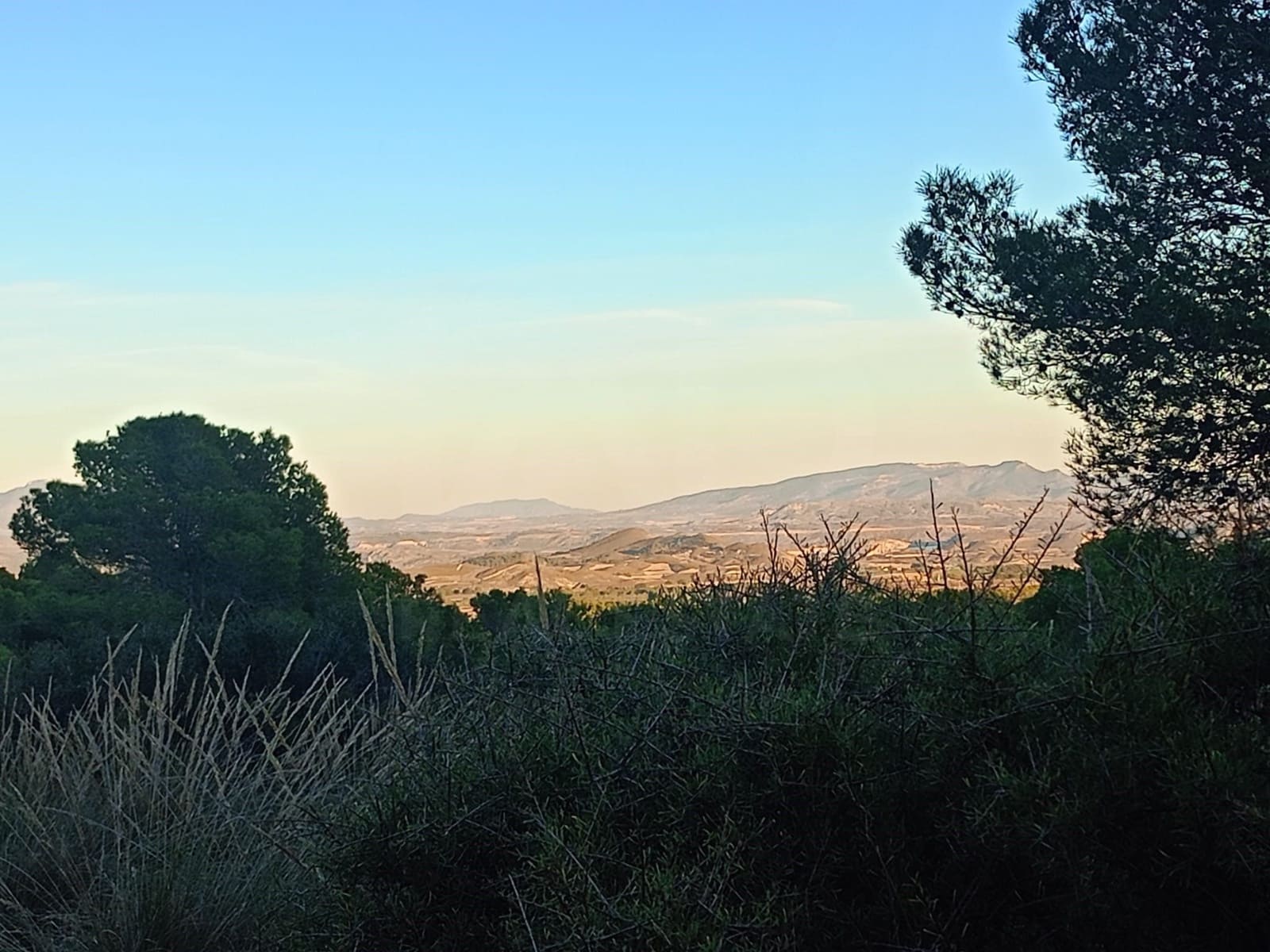 Grond te koop in Lorca - € 63.000 (Ref: 9988611)