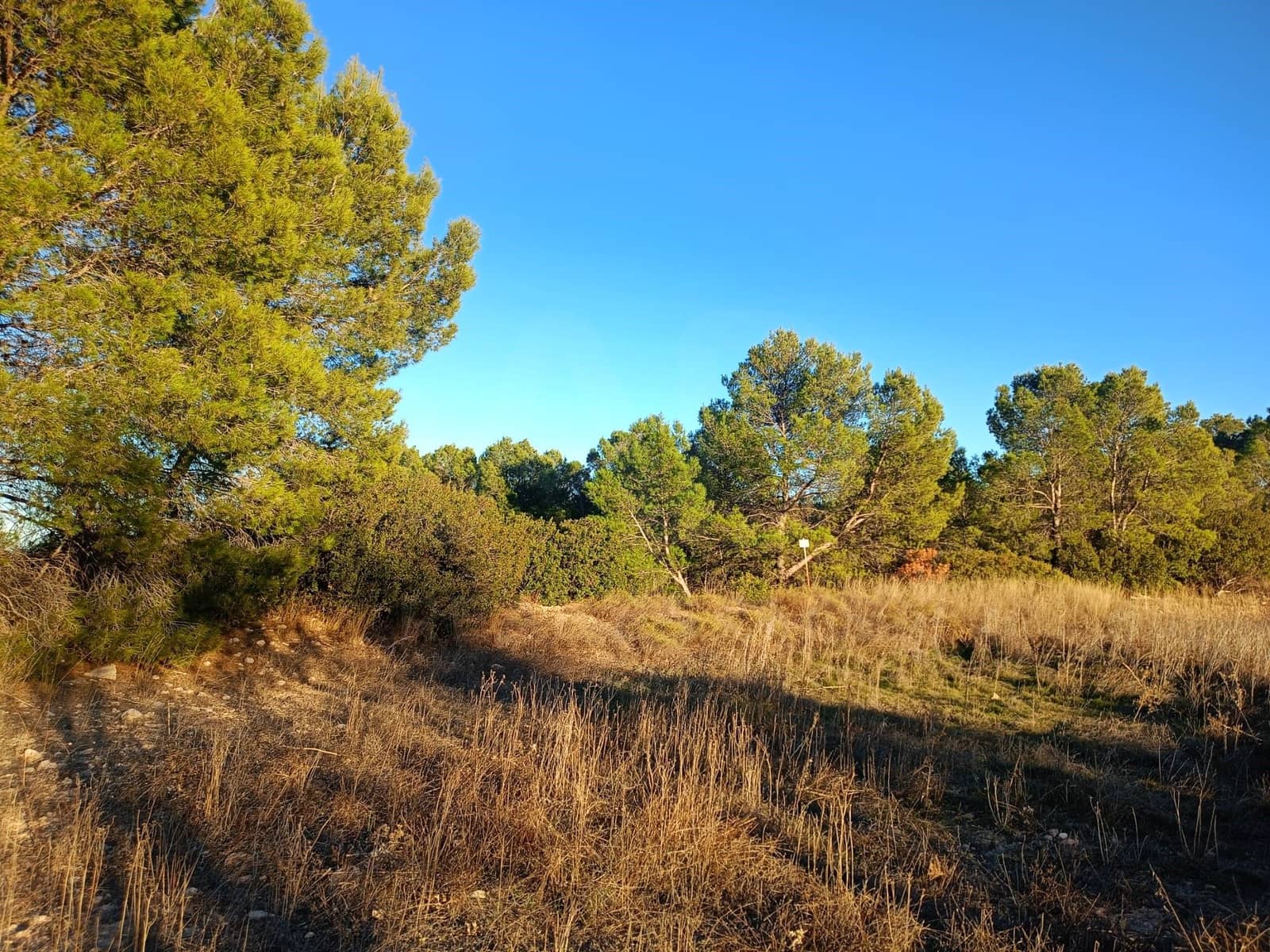 Grond te koop in Lorca - € 63.000 (Ref: 9988611)