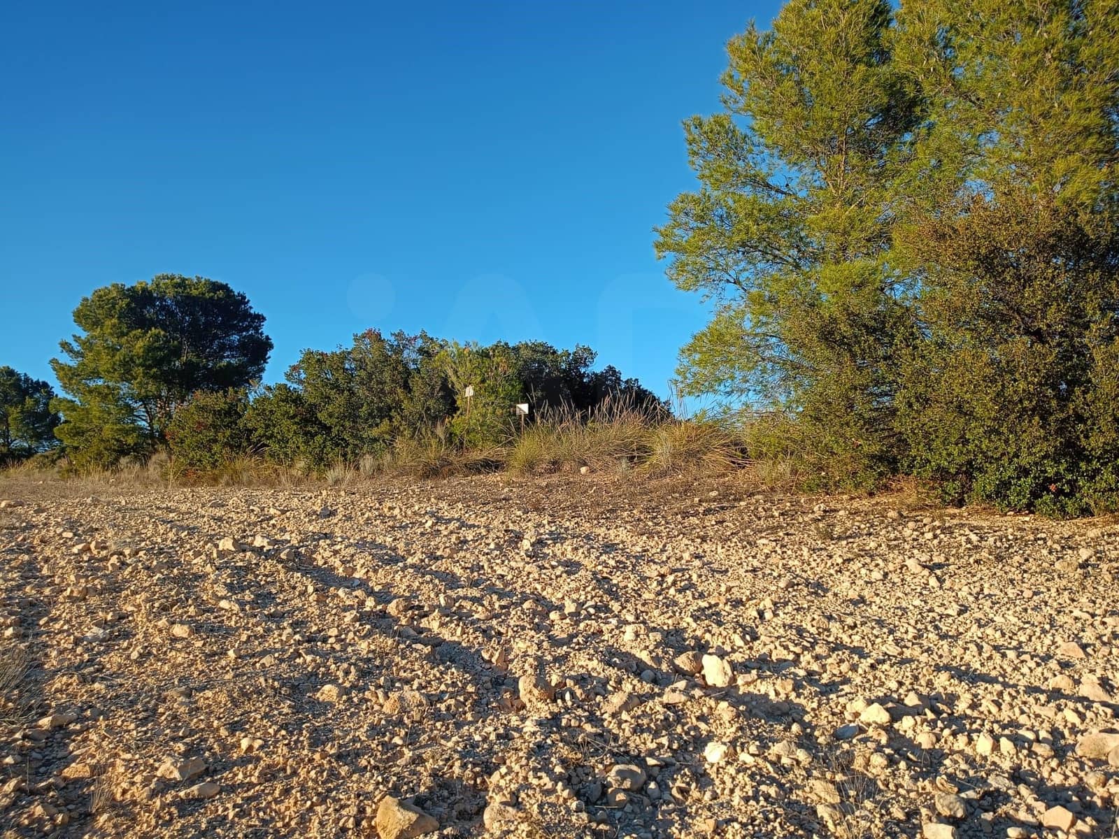 Grond te koop in Lorca - € 63.000 (Ref: 9988611)
