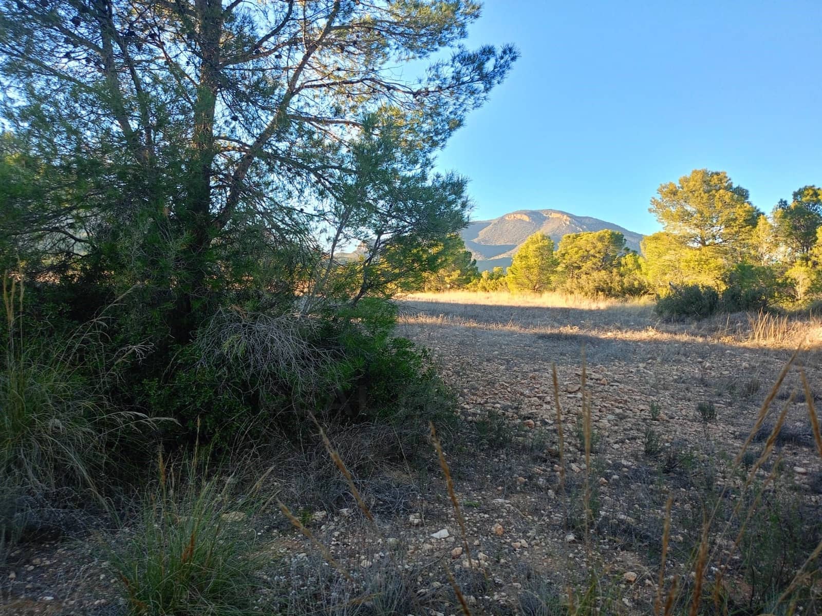 Grond te koop in Lorca - € 63.000 (Ref: 9988611)