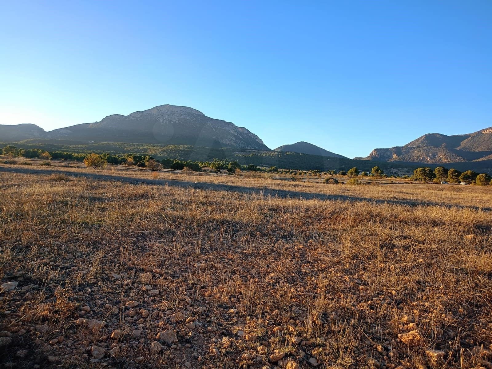 Grond te koop in Lorca - € 63.000 (Ref: 9988611)