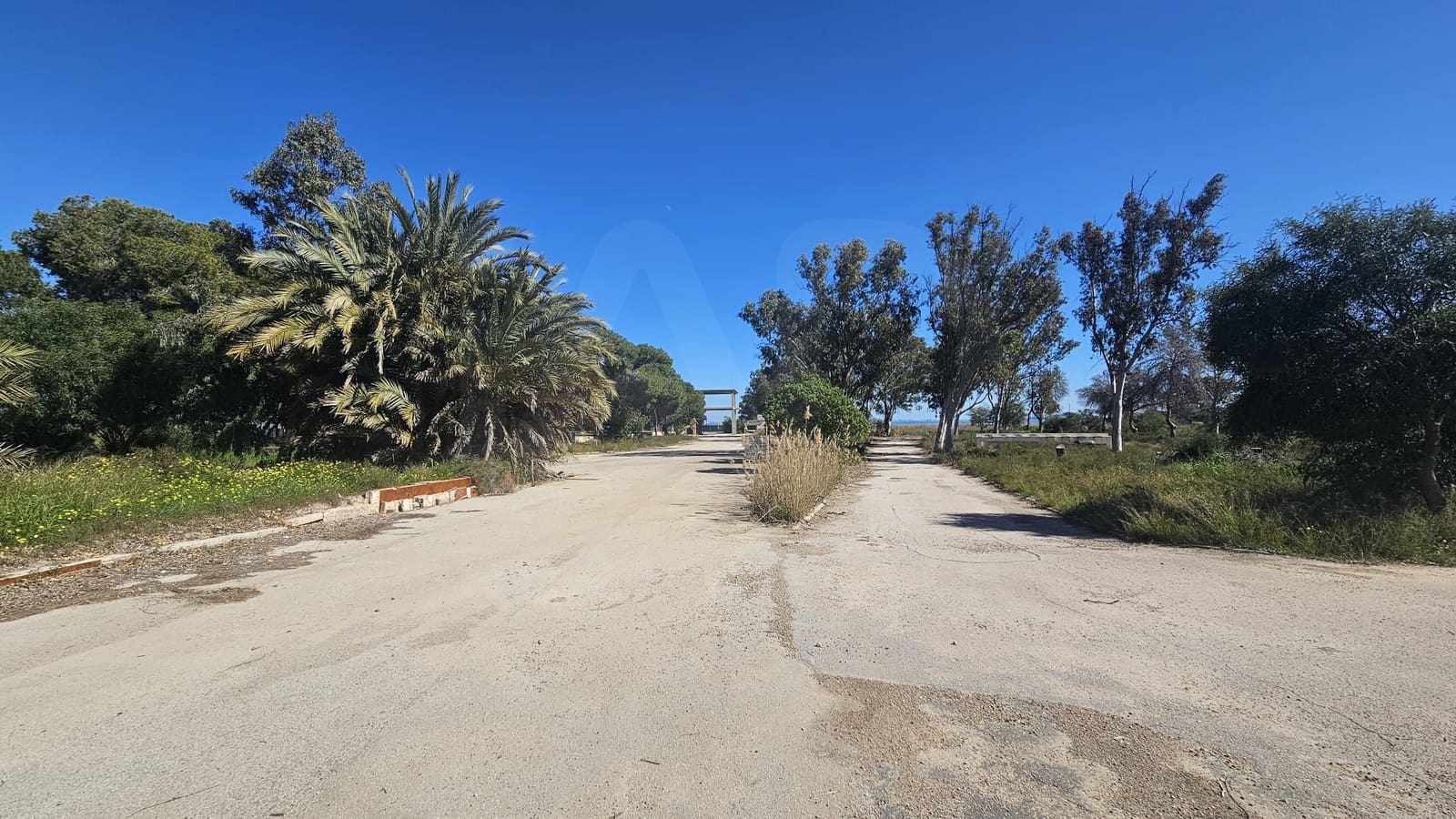 Undeveloped Land for sale in Bahia Bella - € 3,600,000 (Ref: 9988613)