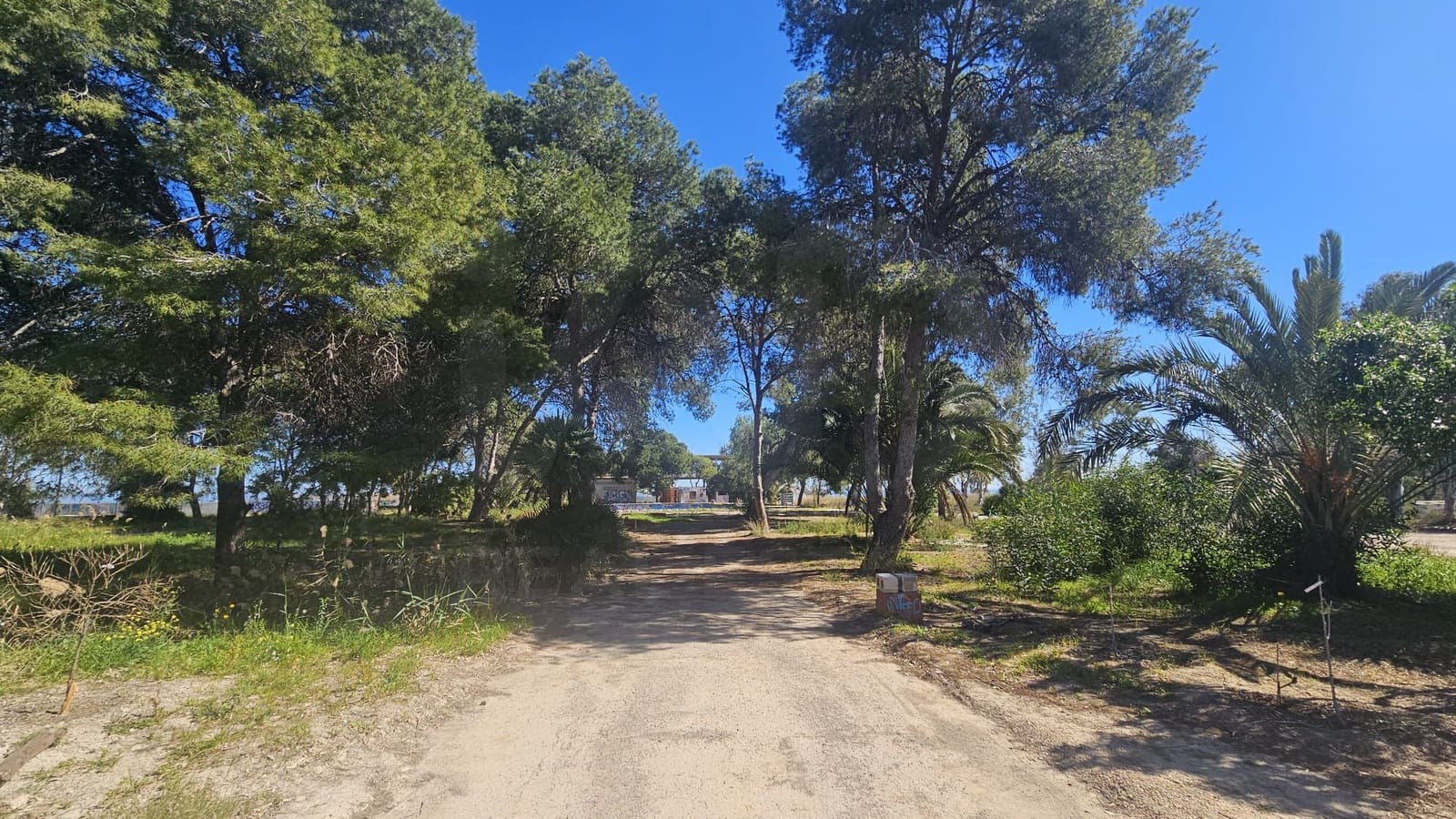 Undeveloped Land for sale in Bahia Bella - € 3,600,000 (Ref: 9988613)