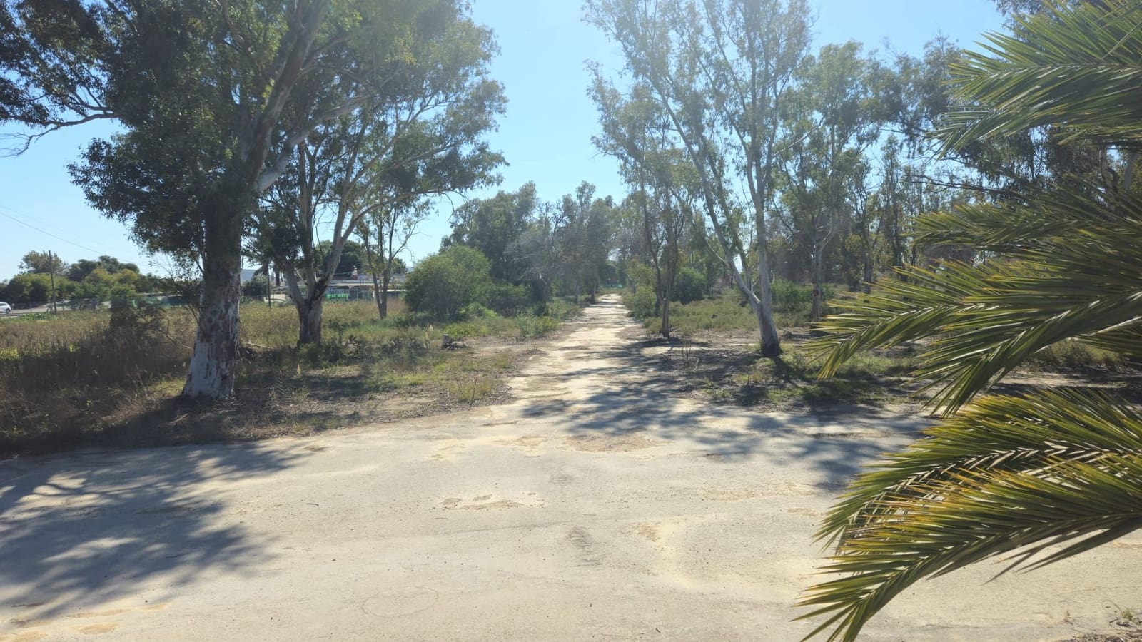 Undeveloped Land for sale in Bahia Bella - € 3,600,000 (Ref: 9988613)