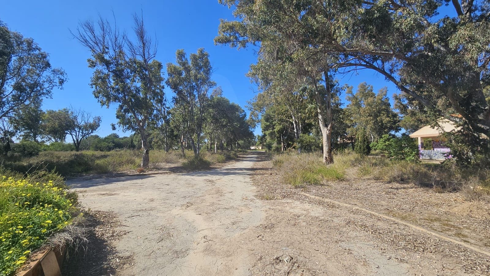 Undeveloped Land for sale in Bahia Bella - € 3,600,000 (Ref: 9988613)