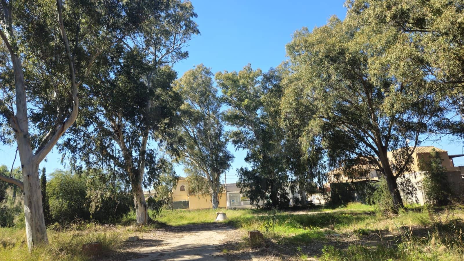 Undeveloped Land for sale in Bahia Bella - € 3,600,000 (Ref: 9988613)