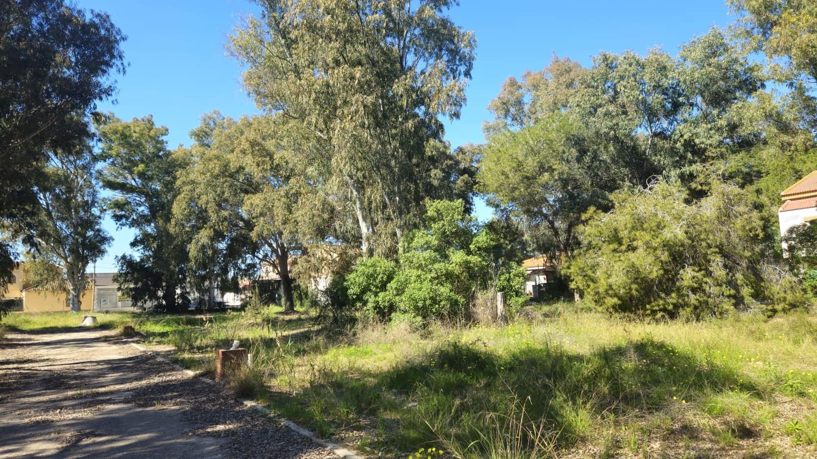 Undeveloped Land for sale in Bahia Bella - € 3,600,000 (Ref: 9988613)