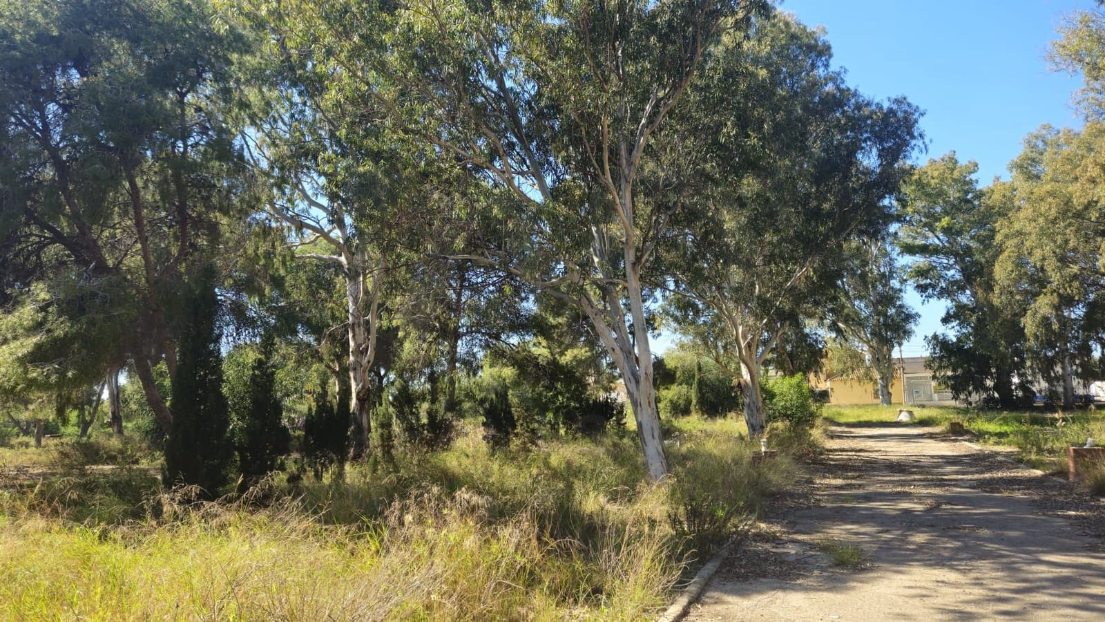 Undeveloped Land for sale in Bahia Bella - € 3,600,000 (Ref: 9988613)