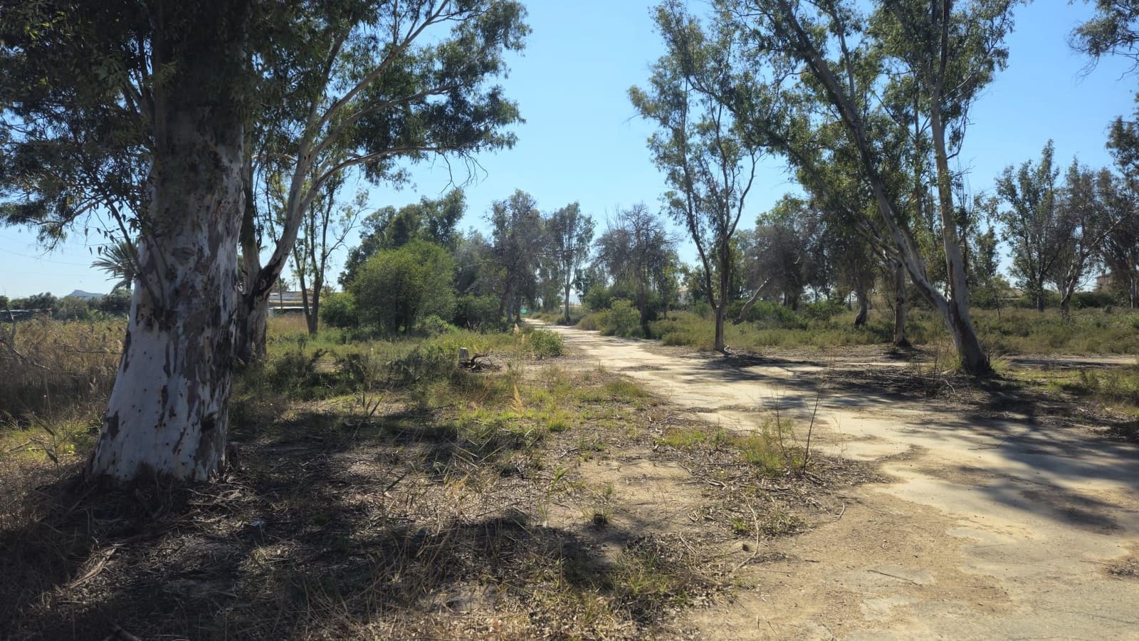 Undeveloped Land for sale in Bahia Bella - € 3,600,000 (Ref: 9988613)