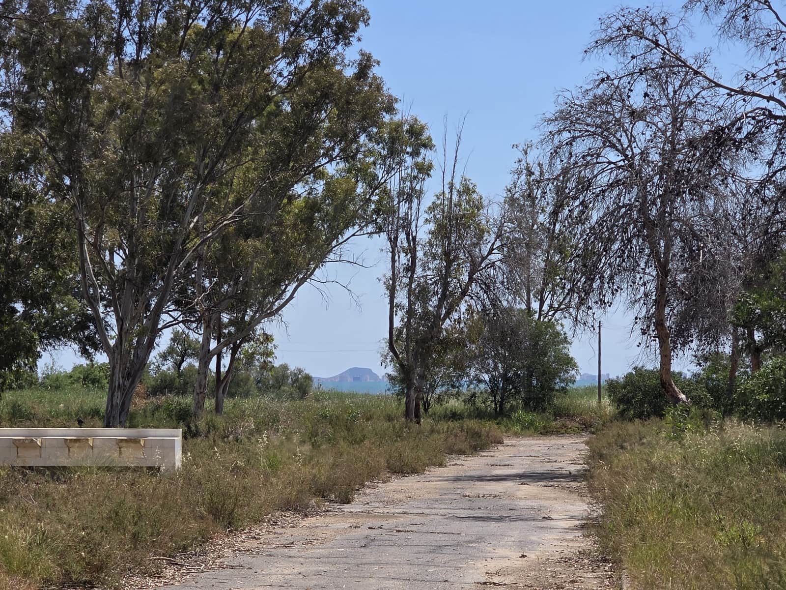 Undeveloped Land for sale in Bahia Bella - € 3,600,000 (Ref: 9988613)