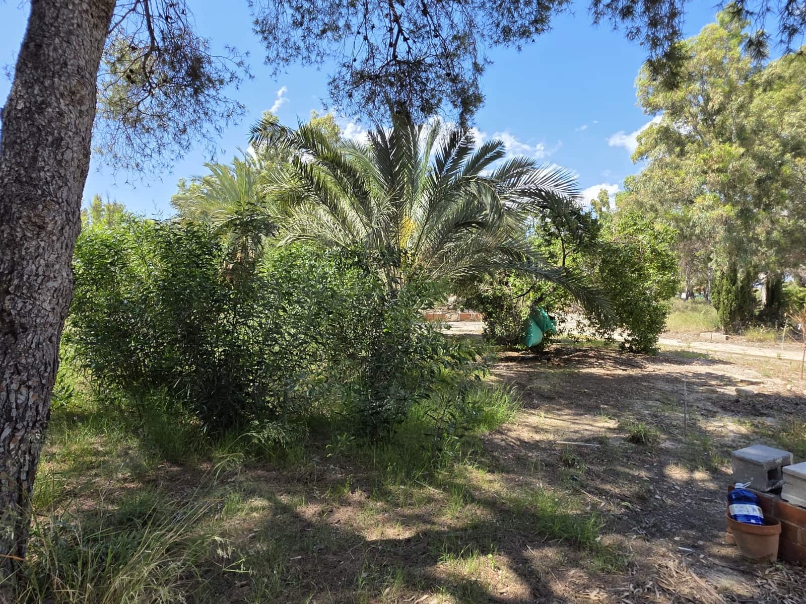 Undeveloped Land for sale in Bahia Bella - € 3,600,000 (Ref: 9988613)