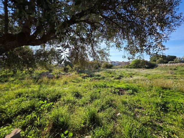 Grond te koop in Calasparra - € 35.000 (Ref: 9988618)