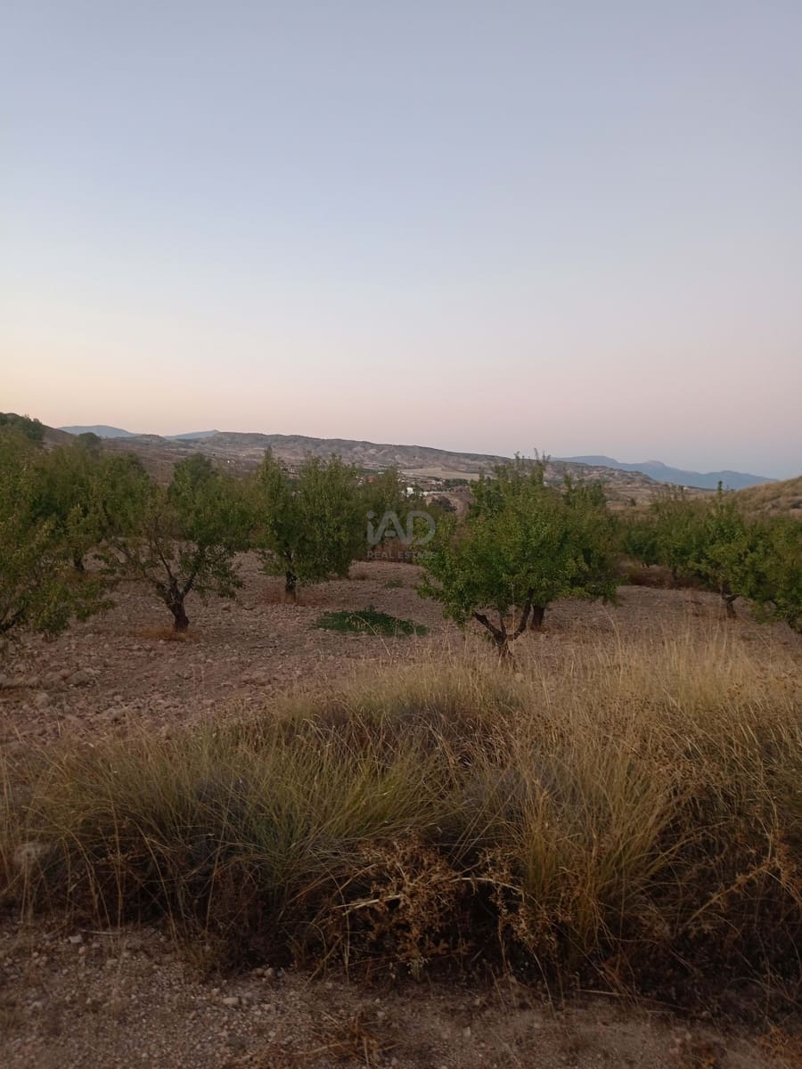 2 sypialnia Finka/Dom wiejski na sprzedaż w Lorca z garażem - 370 000 € (Ref: 9988619)