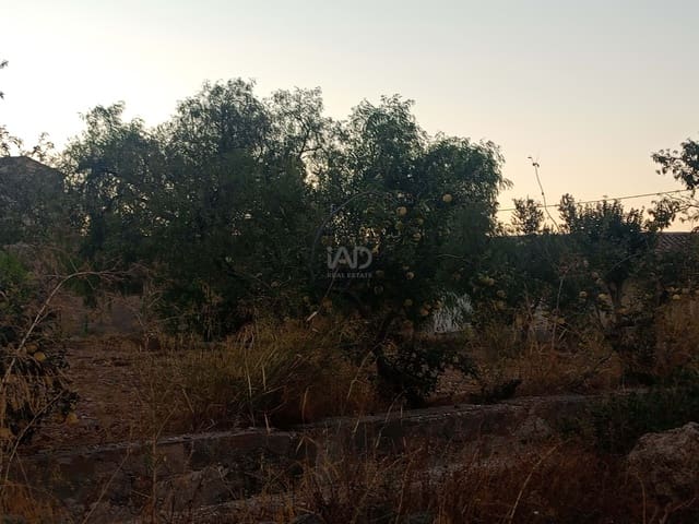2 sypialnia Finka/Dom wiejski na sprzedaż w Lorca z garażem - 370 000 € (Ref: 9988619)