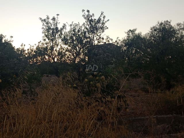 2 sypialnia Finka/Dom wiejski na sprzedaż w Lorca z garażem - 370 000 € (Ref: 9988619)