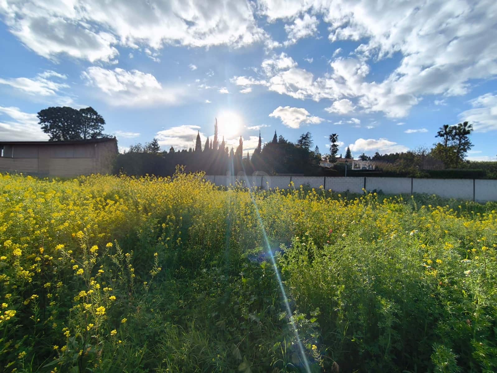 Building Plot for sale in Malaga city - € 300,000 (Ref: 9988623)